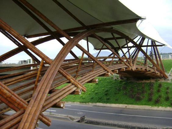 Cầu nhịp lớn bằng kết cấu tre