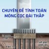 Chuyên đề tính toán móng cọc đài thấp