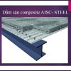 Dam-san-composite-AISC
