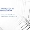 Chuyen-doi-noi-luc-tu-Etabs-sang-prokon