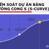 Kiem-soat-du-an-bang-duong-cong-S