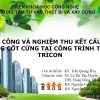 Thi-cong-va-nghiem-thu-ket-cau-be-tong-cot-cung