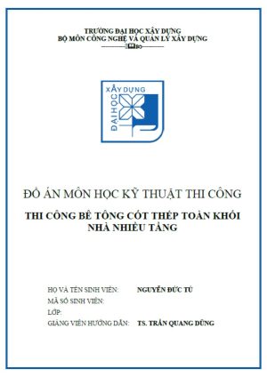do-an-thi-cong-nha-nhieu-tang