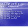 mat-duong-dat-da-gia-co-chat-ket-dinh-vo-co