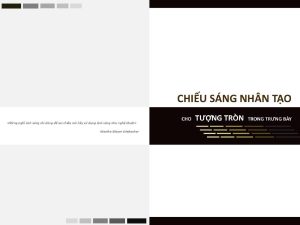 Chieu-sang-nhan-tao-cho-tuong-tron