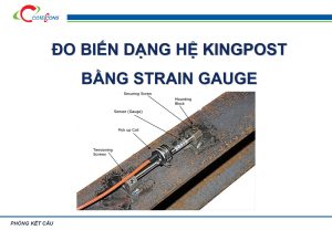 do-bien-dang-he-kinpost