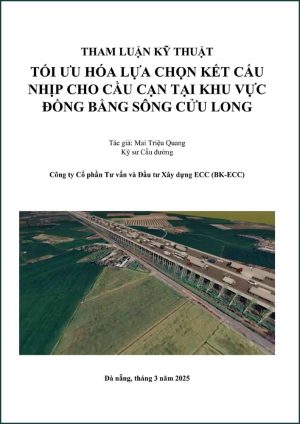 ket-cau-nhip-cau-can-dong-bang-song-cuu-longket-cau-nhip-cau-can-dong-bang-song-cuu-long