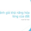 danh-gia-kha-nang-hoa-long-cua-dat