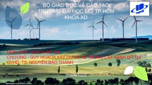 quy-hoach-cay-xanh-do-thi