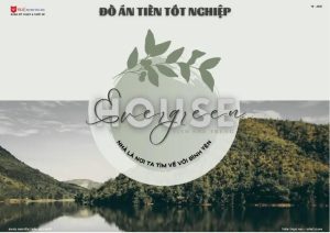 do-an-evergreeen-house
