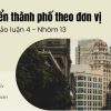 phat-trien-thanh-pho-theo-don-vi